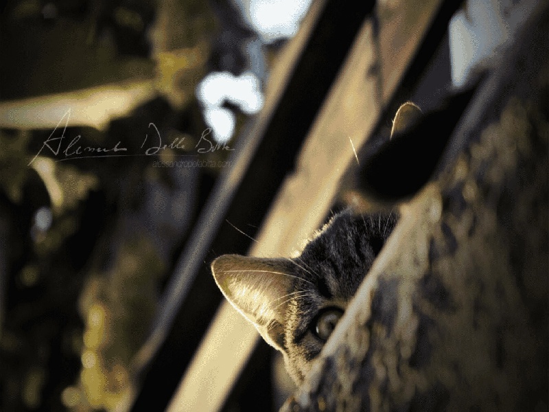 武汉试管哪个医院，试管里常备什么